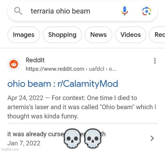 💀💀 | image tagged in funny,terraria,ohio,only in ohio,memes | made w/ Imgflip meme maker