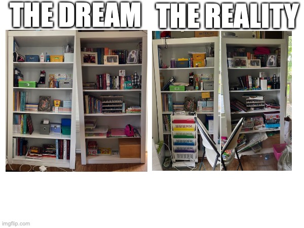 THE DREAM; THE REALITY | made w/ Imgflip meme maker