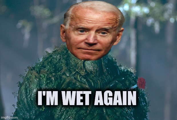 Swamp thing | I'M WET AGAIN | image tagged in swamp thing | made w/ Imgflip meme maker