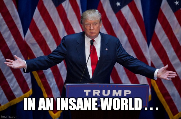 Donald Trump | IN AN INSANE WORLD . . . | image tagged in donald trump | made w/ Imgflip meme maker
