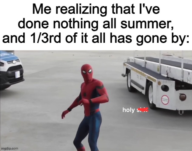 Not exactly 1/3rd of it all, but pretty close :< | Me realizing that I've done nothing all summer, and 1/3rd of it all has gone by: | made w/ Imgflip meme maker