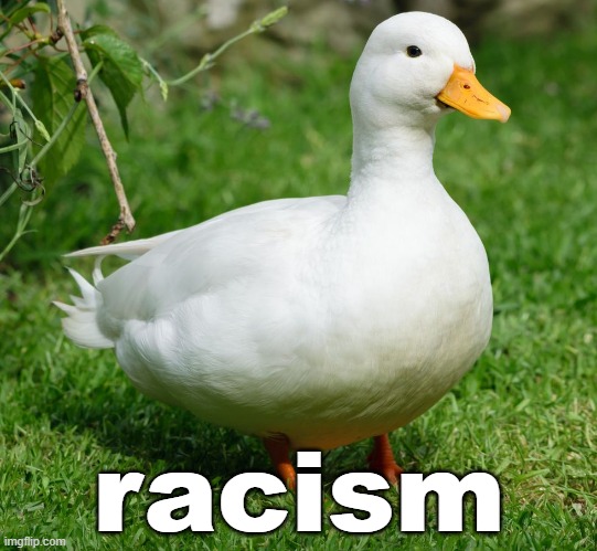 duck racism | racism | made w/ Imgflip meme maker