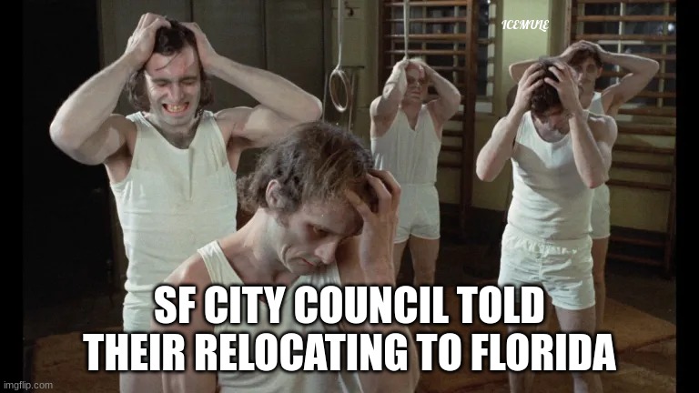 sf city council | ICEMULE; SF CITY COUNCIL TOLD THEIR RELOCATING TO FLORIDA | image tagged in crazy | made w/ Imgflip meme maker
