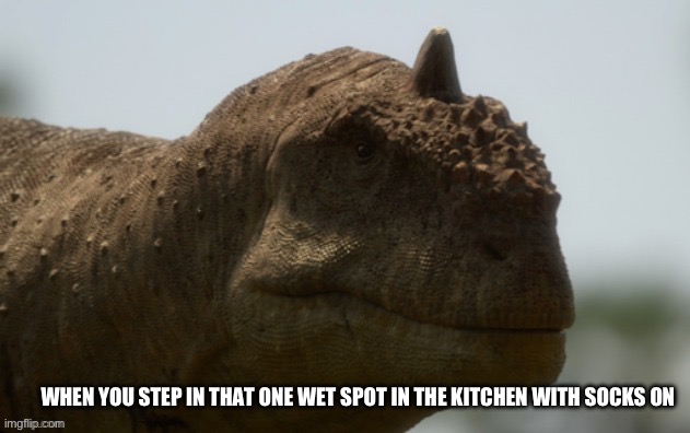Fr though | WHEN YOU STEP IN THAT ONE WET SPOT IN THE KITCHEN WITH SOCKS ON | image tagged in uncomfortable dinosaur | made w/ Imgflip meme maker