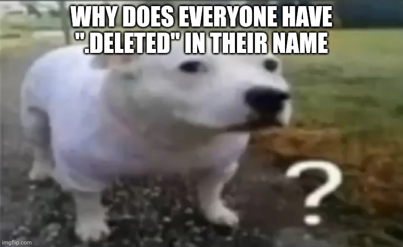 ? | WHY DOES EVERYONE HAVE ".DELETED" IN THEIR NAME | made w/ Imgflip meme maker