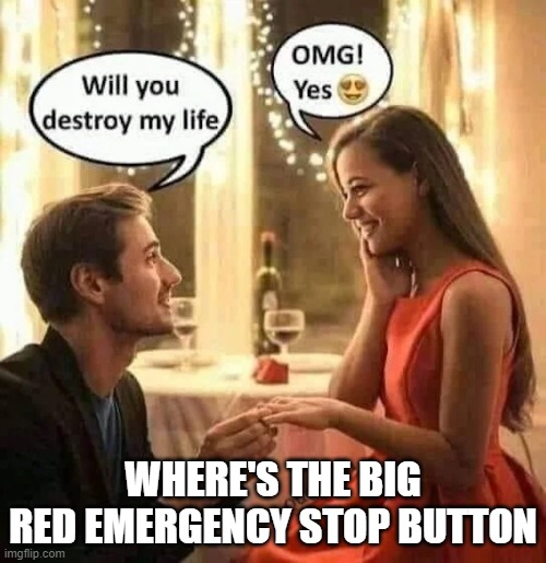 Emergency Stop | WHERE'S THE BIG RED EMERGENCY STOP BUTTON | image tagged in emergency stop | made w/ Imgflip meme maker