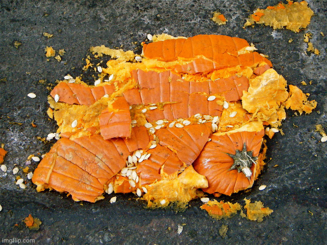 Smashed pumpkin | image tagged in smashed pumpkin | made w/ Imgflip meme maker