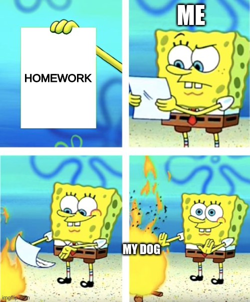 homework | ME; HOMEWORK; MY DOG | image tagged in spongebob burning paper | made w/ Imgflip meme maker