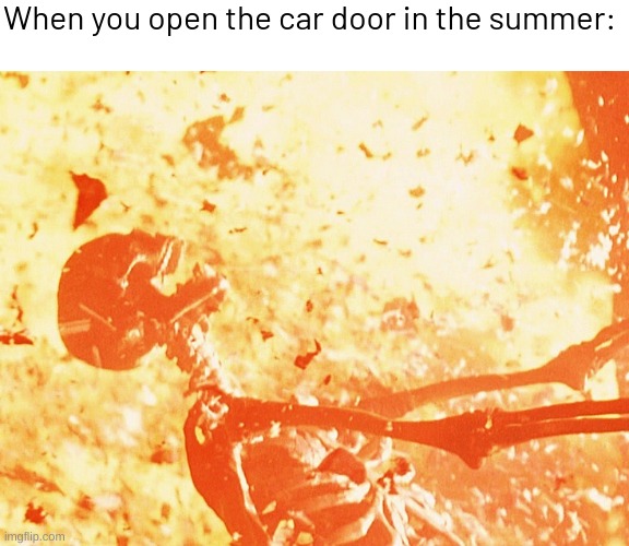 Fire skeleton | When you open the car door in the summer: | image tagged in fire skeleton,memes,funny | made w/ Imgflip meme maker