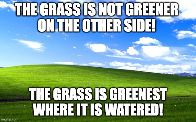 greener on the other side | THE GRASS IS NOT GREENER 
ON THE OTHER SIDE! THE GRASS IS GREENEST WHERE IT IS WATERED! | image tagged in window grass field | made w/ Imgflip meme maker