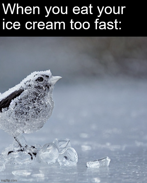 When you eat your ice cream too fast: | image tagged in so true memes | made w/ Imgflip meme maker