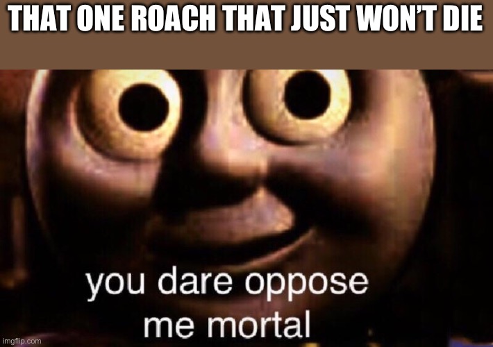 You dare oppose me mortal | THAT ONE ROACH THAT JUST WON’T DIE | image tagged in you dare oppose me mortal | made w/ Imgflip meme maker