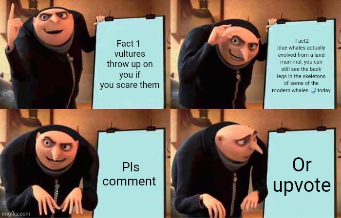 Gru's Plan Meme | Fact 1 
vultures throw up on you if you scare them; Fact2
blue whales actually evolved from a land mammal, you can still see the back legs in the skeletons of some of the modern whales 🐋 today; Pls comment; Or upvote | image tagged in memes,gru's plan | made w/ Imgflip meme maker