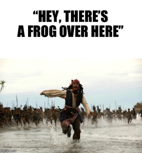 Frog | image tagged in frog,frogs | made w/ Imgflip meme maker