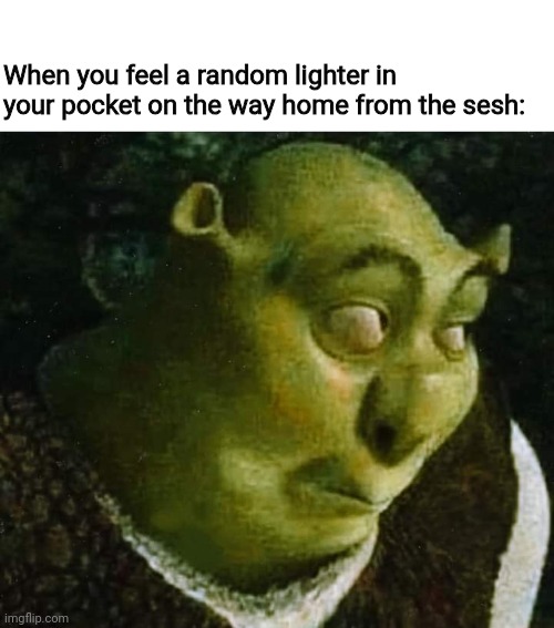 Get bicced | When you feel a random lighter in your pocket on the way home from the sesh: | image tagged in shrek,smoking,weed,lighter,shrek is love,shrek is life | made w/ Imgflip meme maker