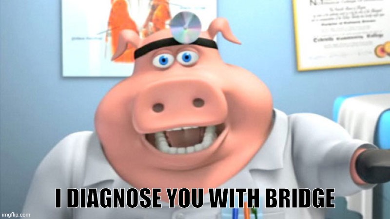 No context | I DIAGNOSE YOU WITH BRIDGE | image tagged in i diagnose you with dead | made w/ Imgflip meme maker