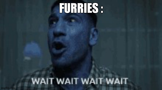 Wait Wait Wait | FURRIES : | image tagged in wait wait wait | made w/ Imgflip meme maker