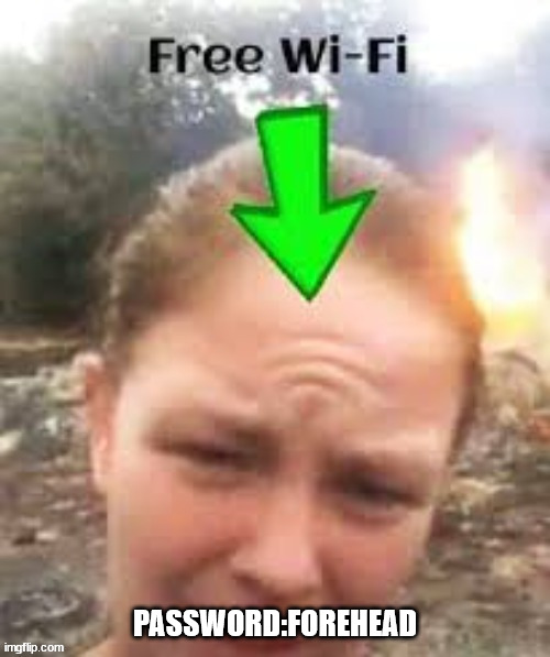 Free wifi | PASSWORD:FOREHEAD | image tagged in lol,minecraft | made w/ Imgflip meme maker