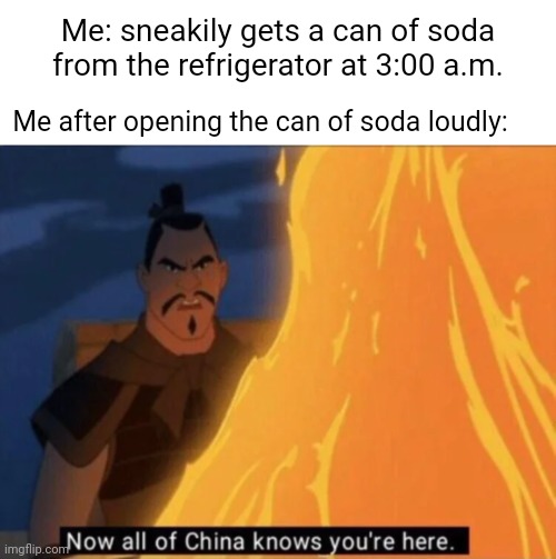 A can of soda | Me: sneakily gets a can of soda from the refrigerator at 3:00 a.m. Me after opening the can of soda loudly: | image tagged in now all of china knows you're here,soda can,soda,soft drink,can,memes | made w/ Imgflip meme maker