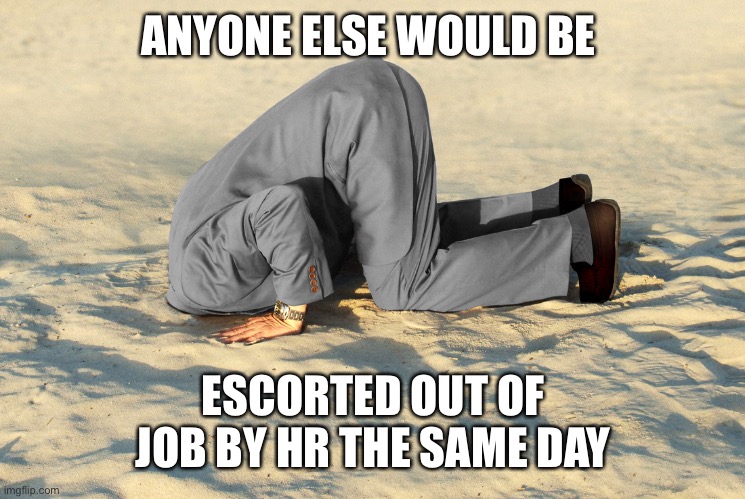 head in sand | ANYONE ELSE WOULD BE ESCORTED OUT OF JOB BY HR THE SAME DAY | image tagged in head in sand | made w/ Imgflip meme maker