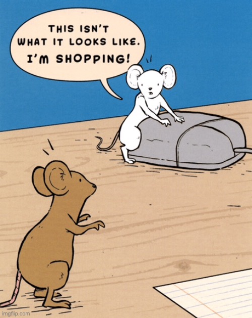 Two mice | image tagged in mouse on mouse,not what it looks like,shopping online,comics | made w/ Imgflip meme maker