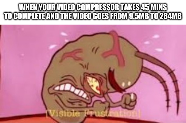 Bruh every time | WHEN YOUR VIDEO COMPRESSOR TAKES 45 MINS TO COMPLETE AND THE VIDEO GOES FROM 9.5MB TO 284MB | image tagged in visible frustration,memes,funny,relatable,video,ha ha tags go brr | made w/ Imgflip meme maker