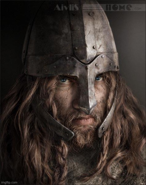 viking | image tagged in viking | made w/ Imgflip meme maker