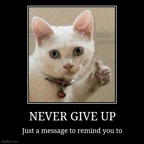 NEVER GIVE UP | Just a message to remind you to | image tagged in funny,demotivationals | made w/ Imgflip demotivational maker