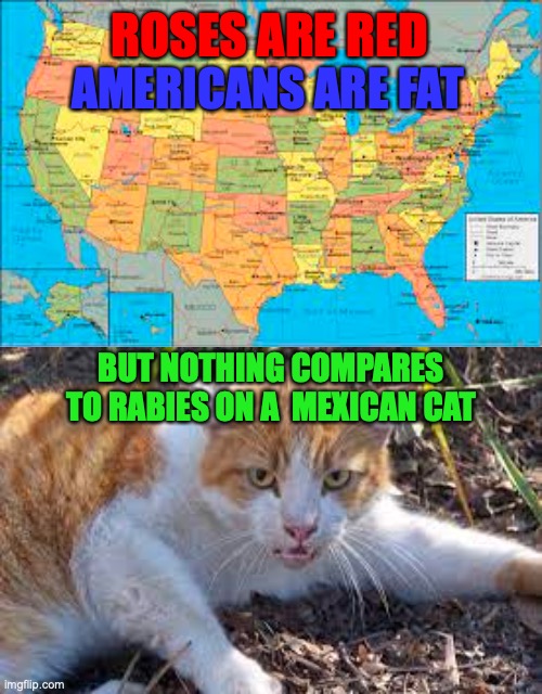 sorry cat lovers, sorry. | ROSES ARE RED; AMERICANS ARE FAT; BUT NOTHING COMPARES TO RABIES ON A  MEXICAN CAT | image tagged in cat,usa,roses are red | made w/ Imgflip meme maker
