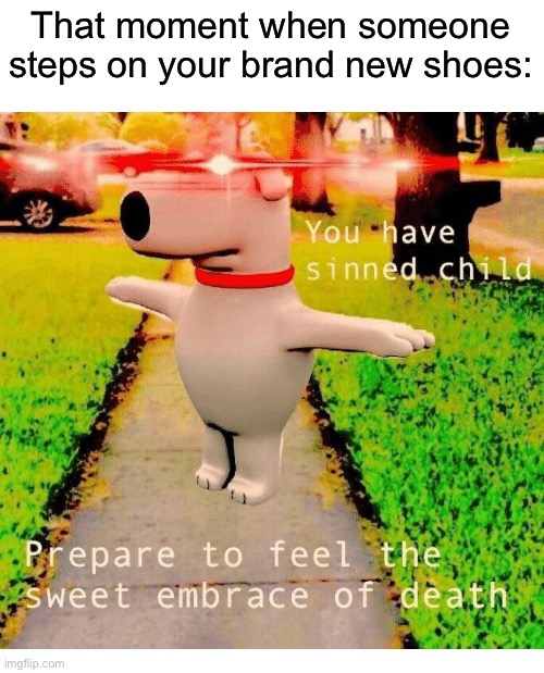 Do not step on my shoes | That moment when someone steps on your brand new shoes: | image tagged in you have sinned child prepare to feel the sweet embrace of death,memes,funny,true story,relatable memes,shoes | made w/ Imgflip meme maker