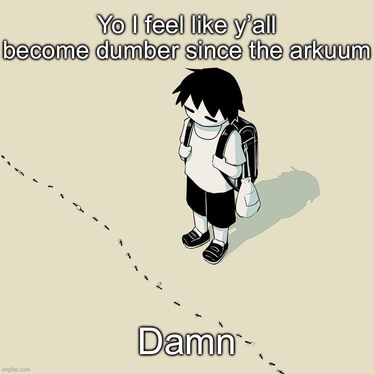 Avogado6 | Yo I feel like y’all become dumber since the arkuum; Damn | image tagged in avogado6 | made w/ Imgflip meme maker