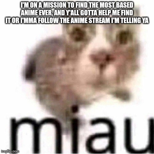miau | I'M ON A MISSION TO FIND THE MOST BASED ANIME EVER, AND Y'ALL GOTTA HELP ME FIND IT OR I'MMA FOLLOW THE ANIME STREAM I'M TELLING YA | image tagged in miau | made w/ Imgflip meme maker