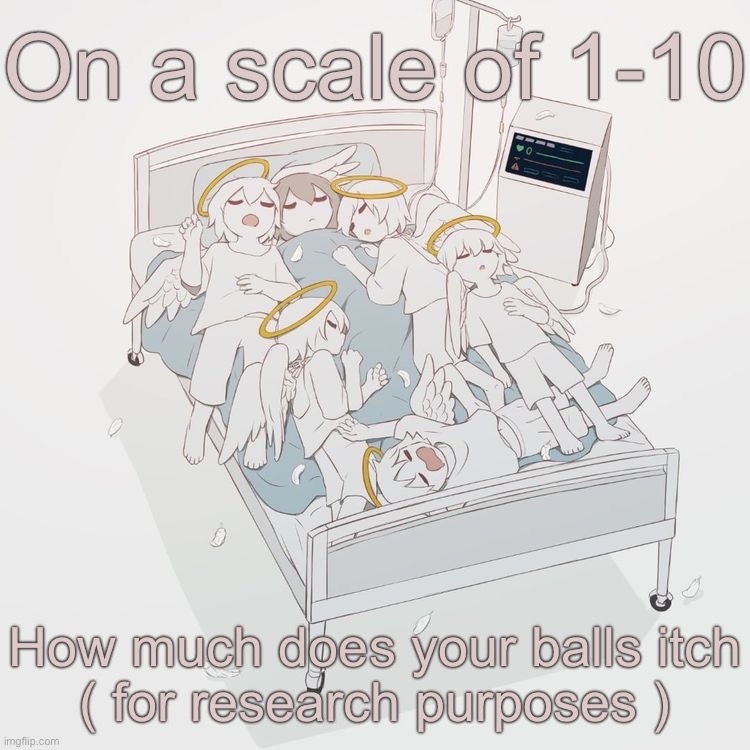 Conversation | On a scale of 1-10; How much does your balls itch
( for research purposes ) | image tagged in avogado6 | made w/ Imgflip meme maker