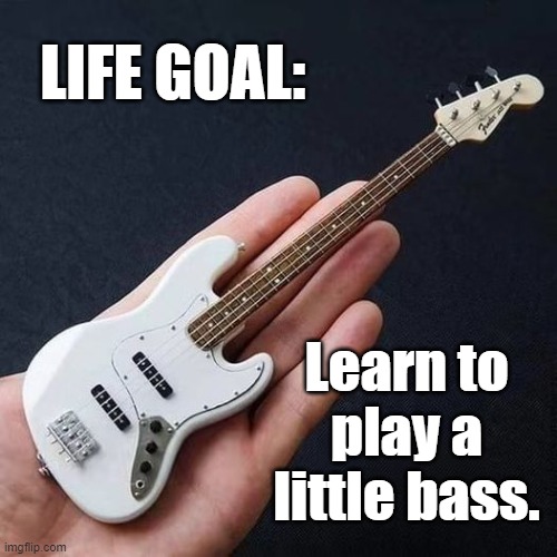 Playing a Little Bass | LIFE GOAL:; Learn to play a little bass. | image tagged in satire,pun,classic rock | made w/ Imgflip meme maker
