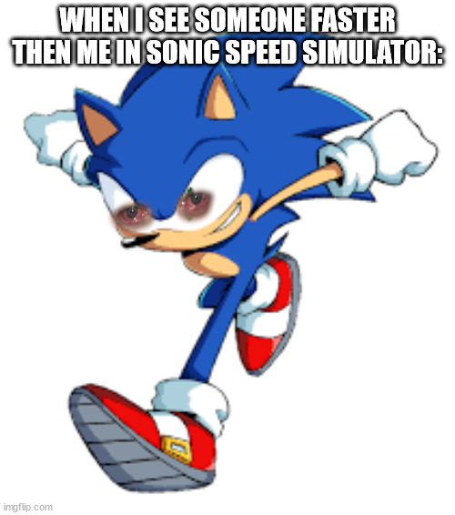 Bruh | WHEN I SEE SOMEONE FASTER THEN ME IN SONIC SPEED SIMULATOR: | image tagged in sonic running | made w/ Imgflip meme maker