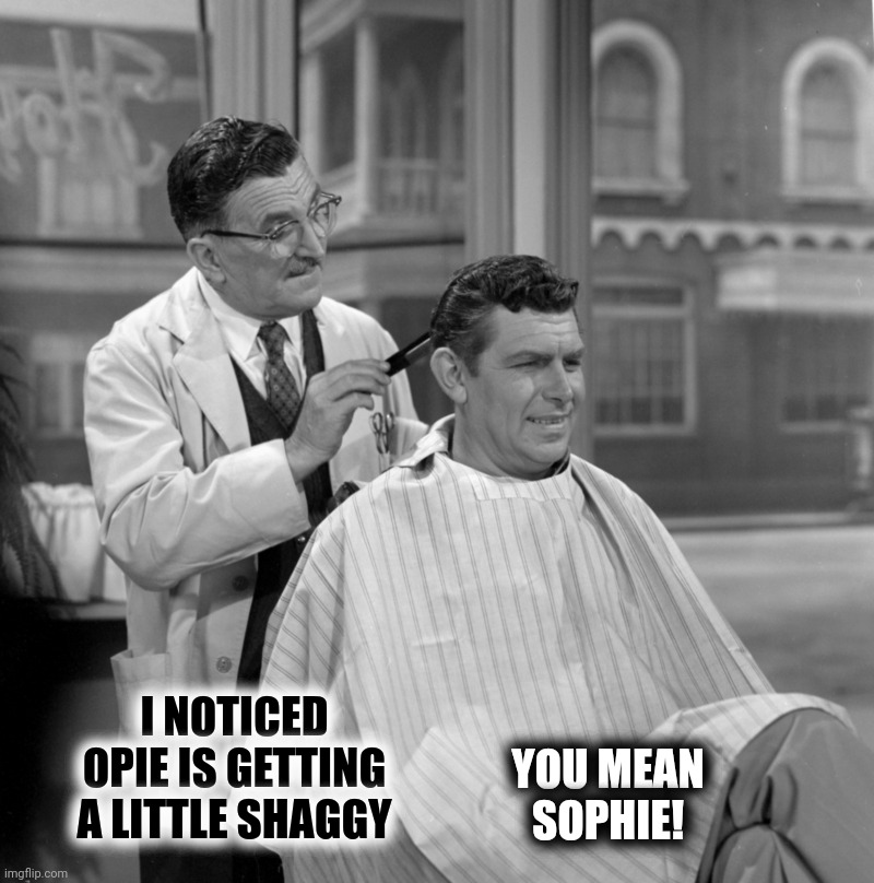 I NOTICED OPIE IS GETTING A LITTLE SHAGGY YOU MEAN SOPHIE! | made w/ Imgflip meme maker