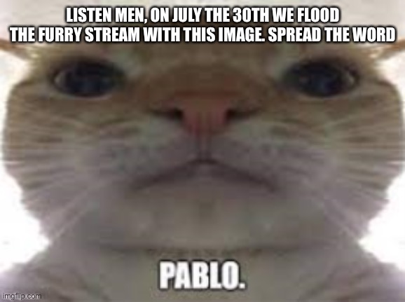 Pablo | LISTEN MEN, ON JULY THE 30TH WE FLOOD THE FURRY STREAM WITH THIS IMAGE. SPREAD THE WORD | image tagged in pablo | made w/ Imgflip meme maker