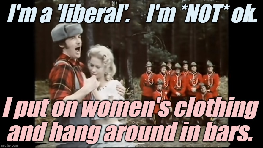 I like to press wild flowers. | I'm a 'liberal'.    I'm *NOT* ok. I put on women's clothing and hang around in bars. | image tagged in liberals,democrats,lgbtq,blm,antifa,criminals | made w/ Imgflip meme maker