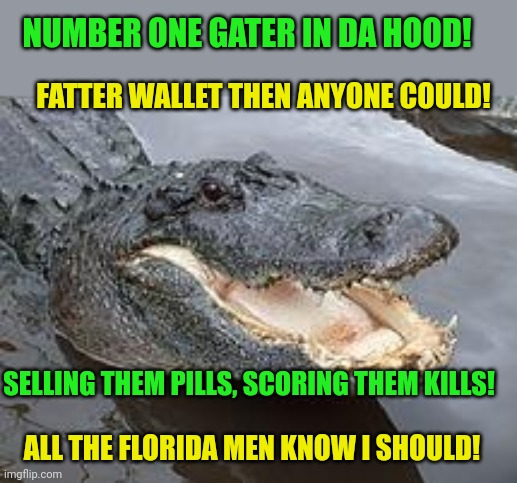 Rappers in Florida... | NUMBER ONE GATER IN DA HOOD! FATTER WALLET THEN ANYONE COULD! SELLING THEM PILLS, SCORING THEM KILLS! ALL THE FLORIDA MEN KNOW I SHOULD! | image tagged in alligator wut,florida man,rapper,gators | made w/ Imgflip meme maker