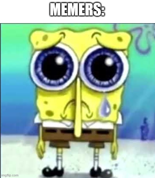 Sad Spongebob | MEMERS: | image tagged in sad spongebob | made w/ Imgflip meme maker