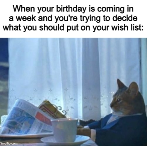 So many choices *-* | When your birthday is coming in a week and you're trying to decide what you should put on your wish list: | image tagged in memes,i should buy a boat cat | made w/ Imgflip meme maker