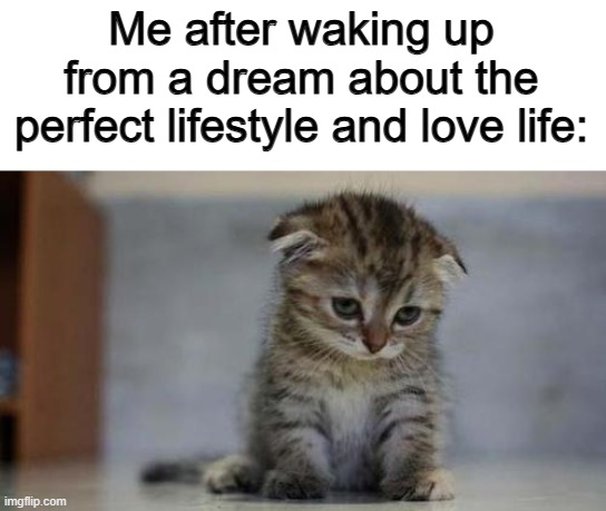 Rarely happens, but still true :C | Me after waking up from a dream about the perfect lifestyle and love life: | image tagged in sad kitten | made w/ Imgflip meme maker