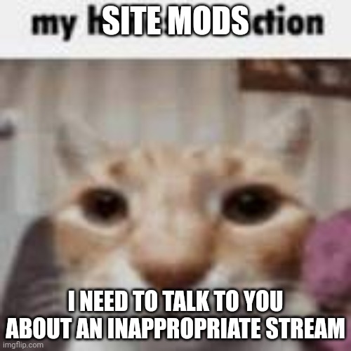 This is really important so please listen | SITE MODS; I NEED TO TALK TO YOU ABOUT AN INAPPROPRIATE STREAM | image tagged in my honest reaction | made w/ Imgflip meme maker