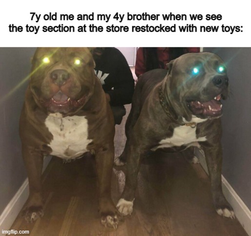 *Happy noises* | 7y old me and my 4y brother when we see the toy section at the store restocked with new toys: | made w/ Imgflip meme maker