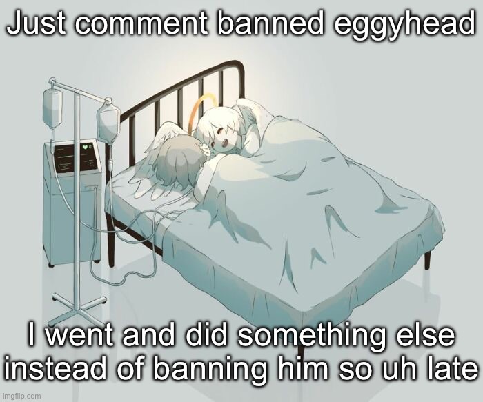 Avogado6 depression | Just comment banned eggyhead; I went and did something else instead of banning him so uh late | image tagged in avogado6 depression | made w/ Imgflip meme maker