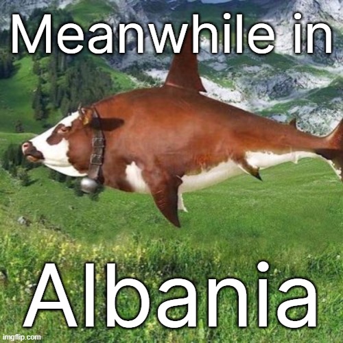I hate it when they meow and pull their stinger out | Meanwhile in; Albania | made w/ Imgflip meme maker