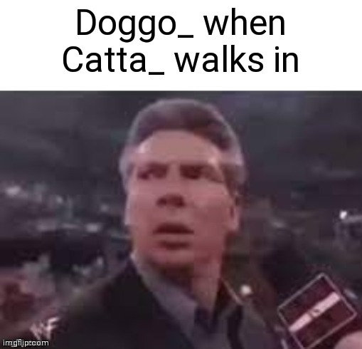 x when x walks in | Doggo_ when Catta_ walks in | image tagged in x when x walks in | made w/ Imgflip meme maker