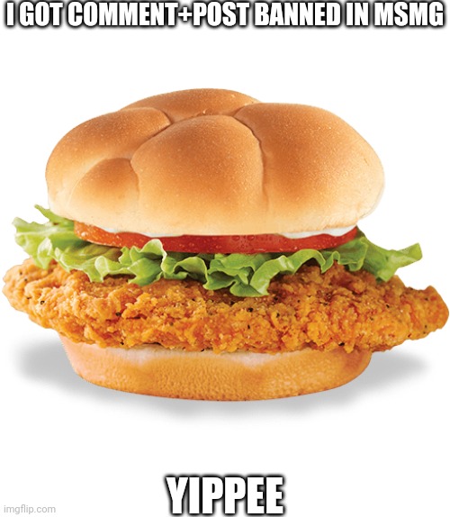 Chicken sandwich | I GOT COMMENT+POST BANNED IN MSMG; YIPPEE | image tagged in chicken sandwich | made w/ Imgflip meme maker