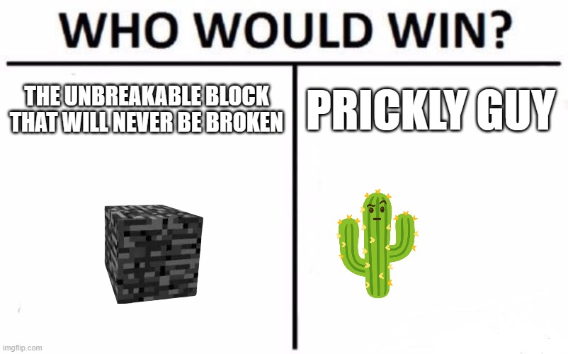 Cactus - The bedrock breaker | THE UNBREAKABLE BLOCK THAT WILL NEVER BE BROKEN; PRICKLY GUY | image tagged in memes,who would win,minecraft memes,minecraft,cactus,bedrock | made w/ Imgflip meme maker