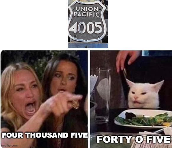 Lady screams at cat | FORTY O FIVE; FOUR THOUSAND FIVE | image tagged in lady screams at cat | made w/ Imgflip meme maker